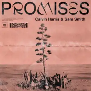 Instrumental: Calvin Harris - Promises Ft. Sam Smith & Jessie Reyez (Produced By Calvin Harris)